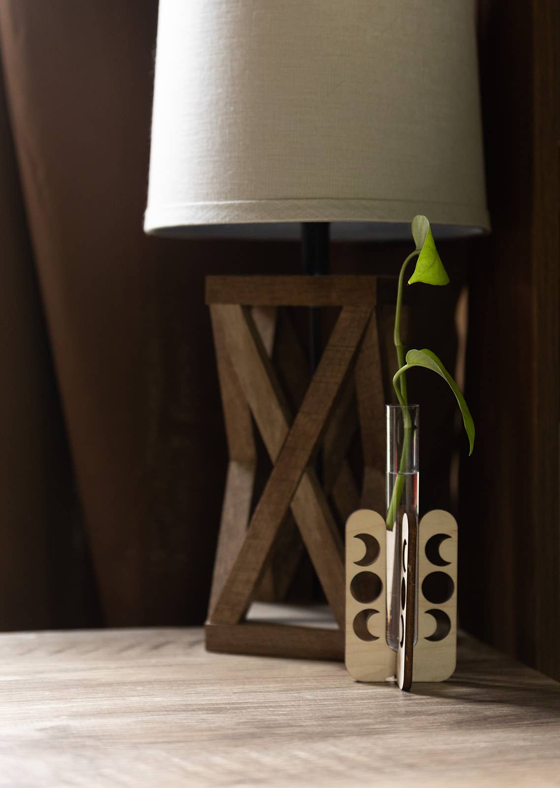 PlantsNsht – Vaso de plantas por atacado – Estação de Propagação de Mesa Fases da Lua4