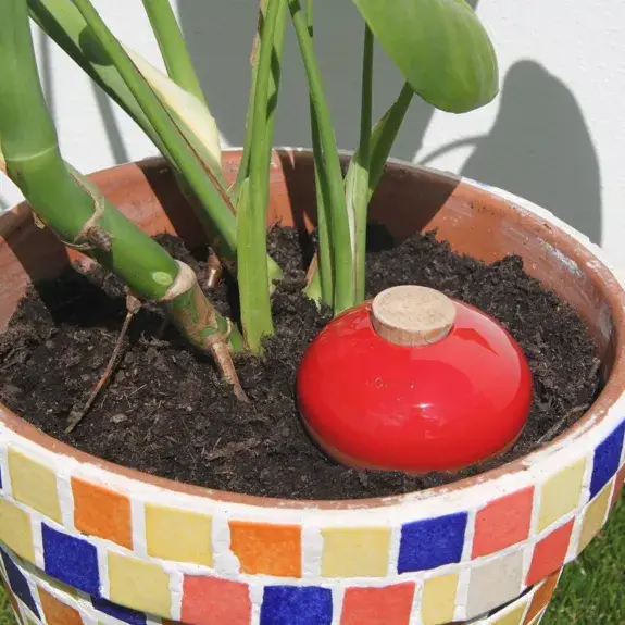 Poterie lutton - Vente Arrosoirs - Ollas Galet 15 cl – Arrosage autonome et stylé23