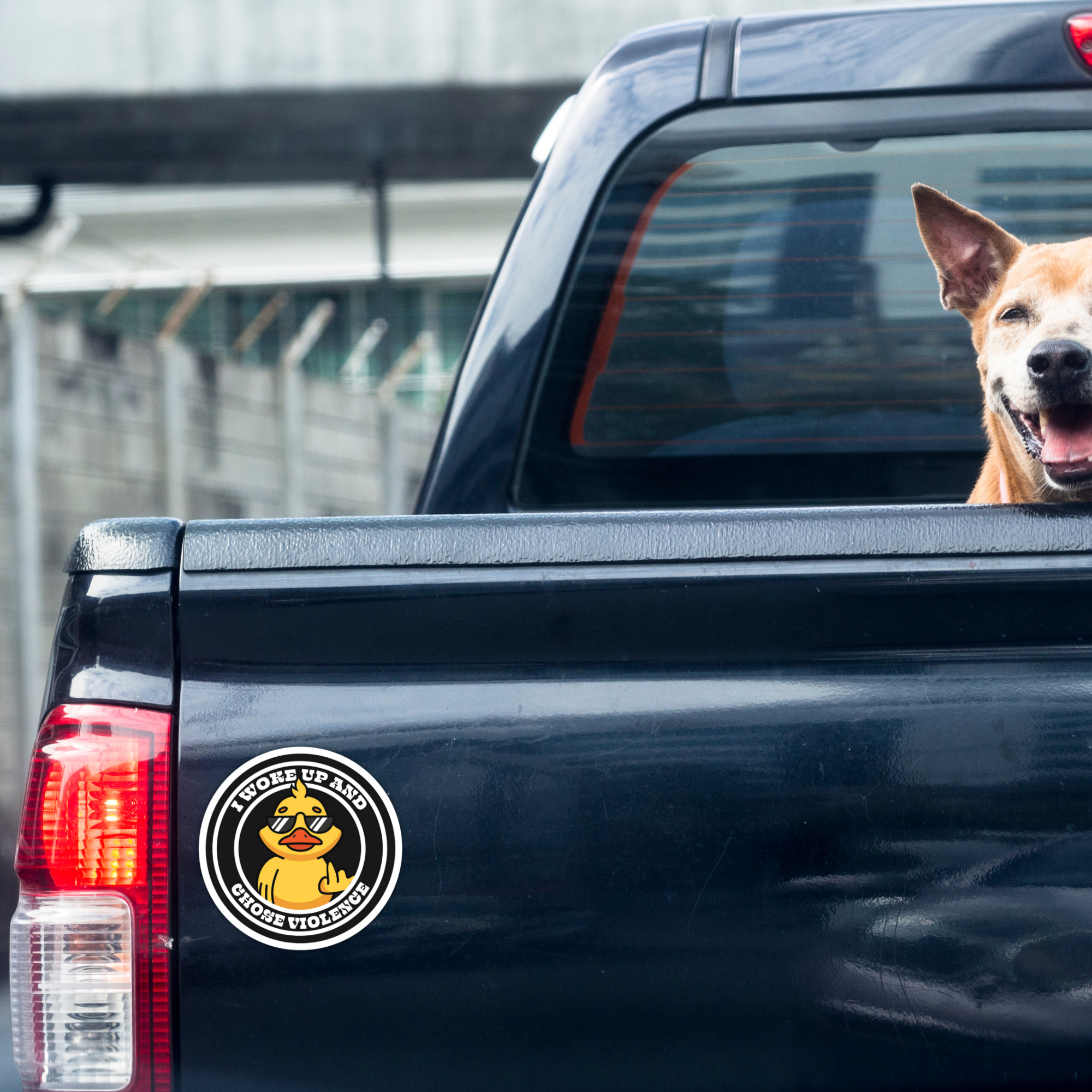 Coyote Color - Wholesale Sticker - Funny Redneck Sticker "I Woke Up & Chose Violence" Duck7