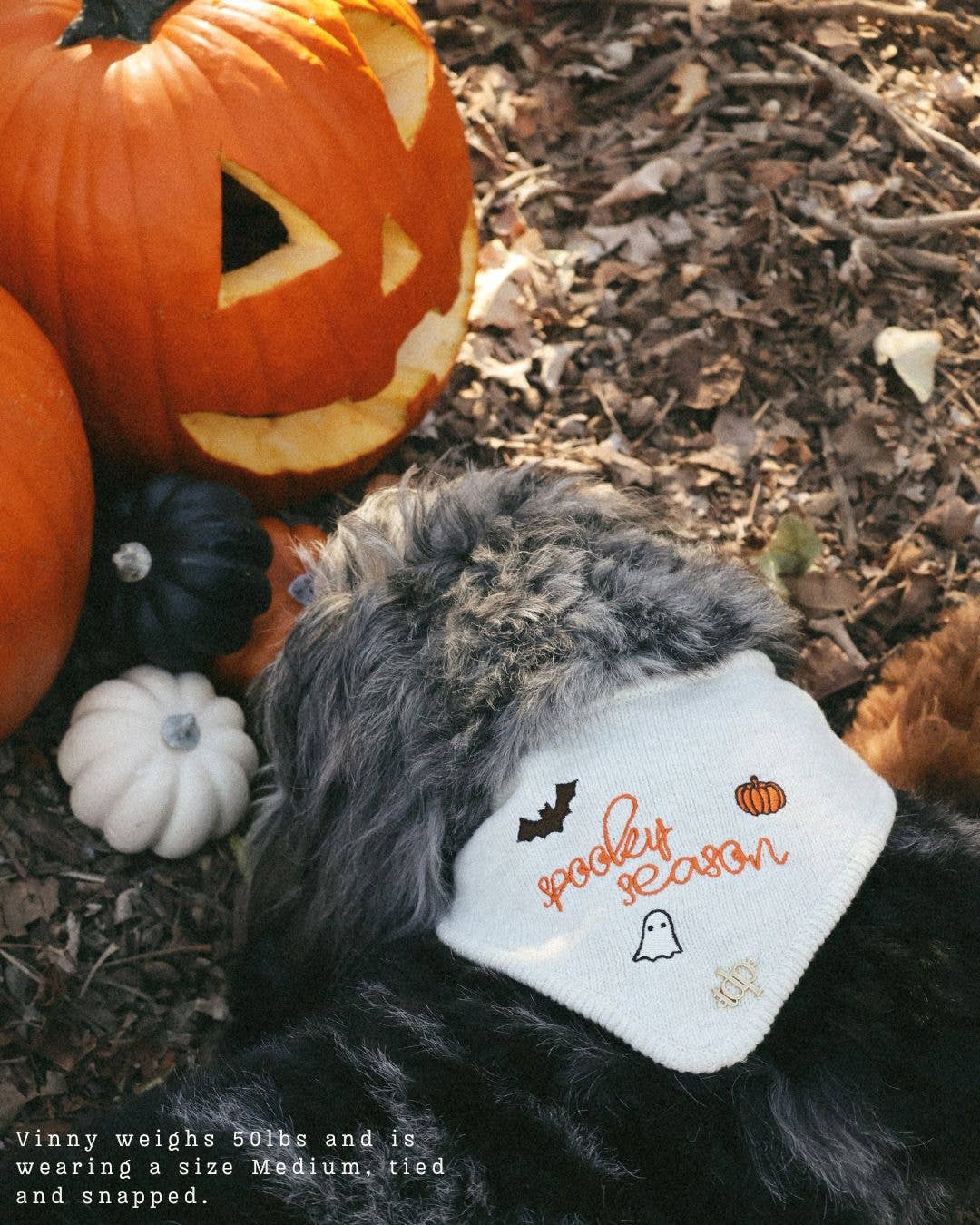 The Deluxe Pup - Wholesale Pet Bandana - Dog - BANDANA | SPOOKY SEASON1