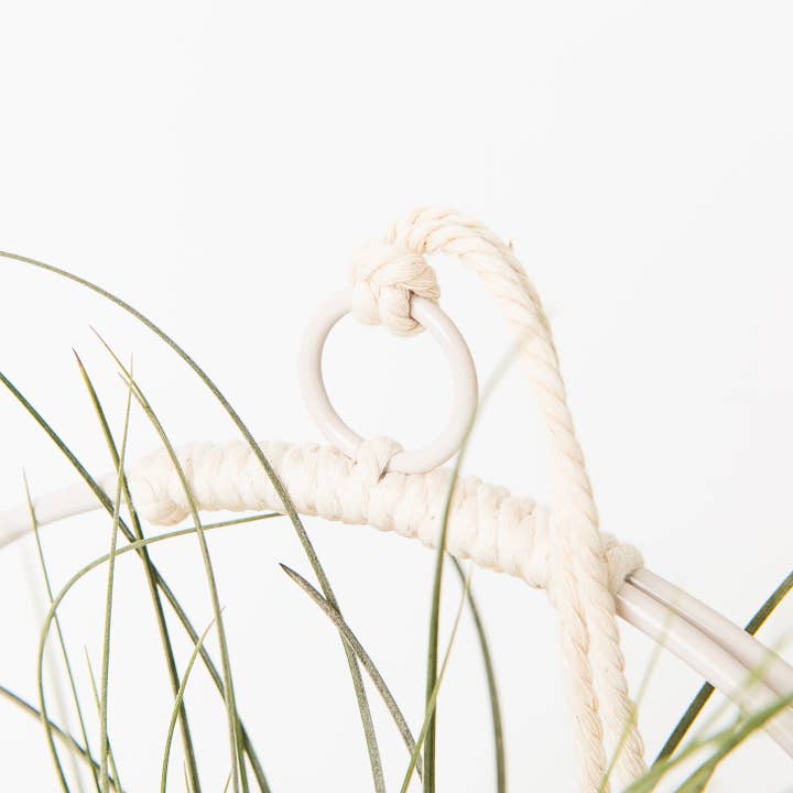 Braid & Wood Design Studio - Venta al por mayor Macetas colgantes - Macetero Colgante Blanco, Colgador de Plantas Moderno (Mediano)