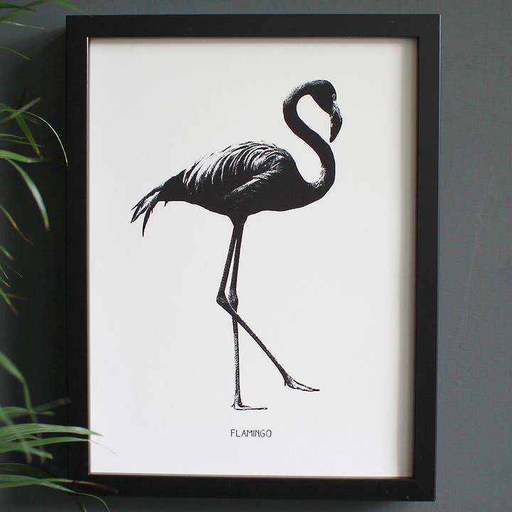 Impressão artística de gravuras de flamingo por atacado de Cloud Cuckoo Design