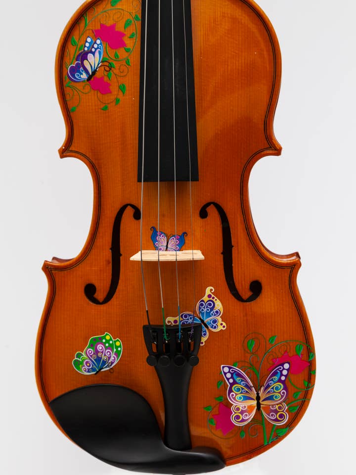 Butterfly Dream II Violin Outfit with Greca sides for wholesale by Rozanna's Violin