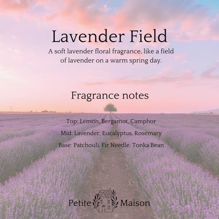 Petite Maison and Co. - Wholesale Jar/filled candle - Soy Candle Wax8