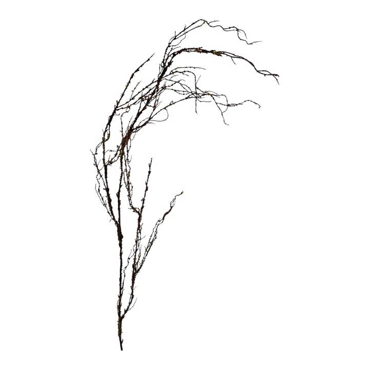 Branch with moss 120 cm brown for wholesale by Floratexx