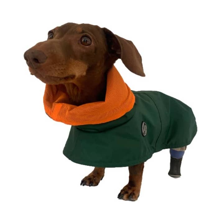 tQel dog trends - Wholesale Pet Raincoat - Dog - Tintin Air Green Raincoat3