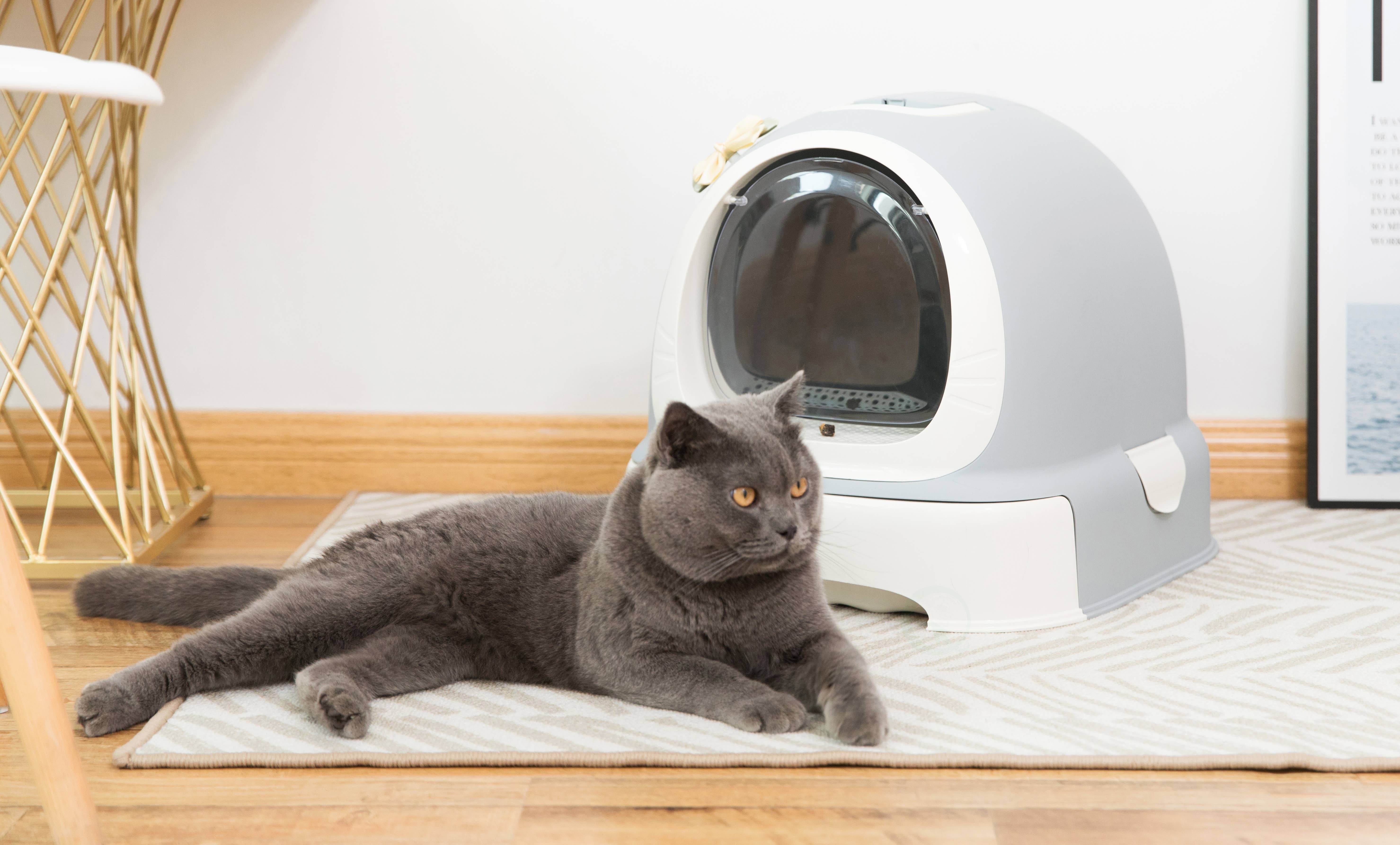 Quickway Imports – wholesale Cat litter box – Enclosed Hooded Litter Pan with Front Entry Close Door1