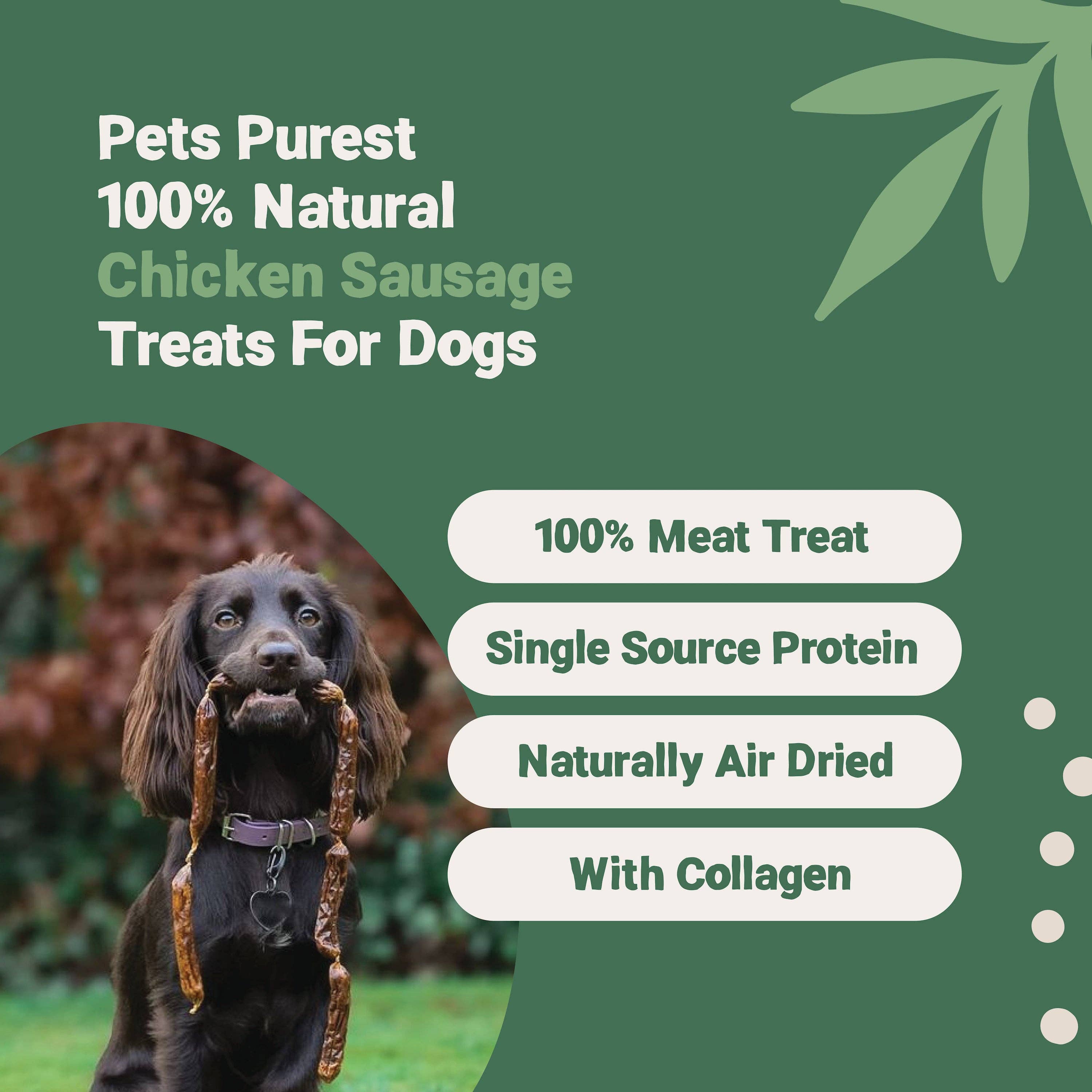 Pets Purest – wholesale Pet treats – Dog – 100% Natural Chicken Sausages | 200g1