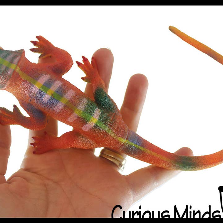 Curious Minds Toys – wholesale Fidget Toy - Barn – 1 Jumbo odla en ödla i vatten - tillsätt vatten och det växer upp
