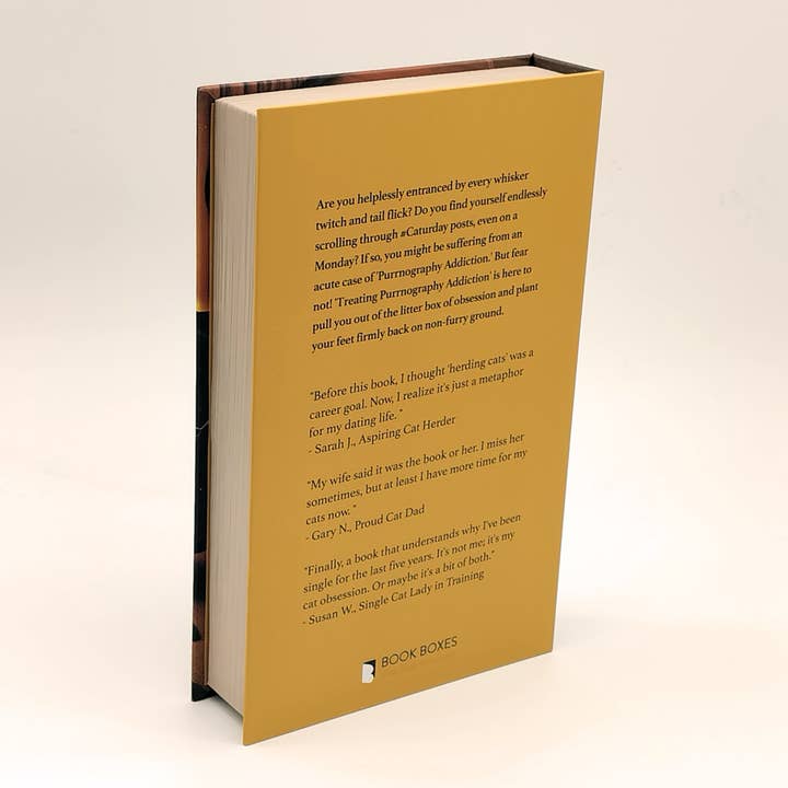 Book Boxes - Wholesale Desk Organizer - Treating Purrnography Addiction – Humorous Faux Book Box Hidden Storage | Quirky Cat Gift | Satirical Home Décor2