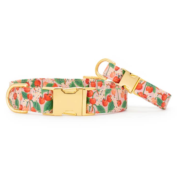 The Foggy Dog - Wholesale Pet Collar - Dog - Rifle Paper Co. x TFD Cherry Blossom Spring Dog Collar