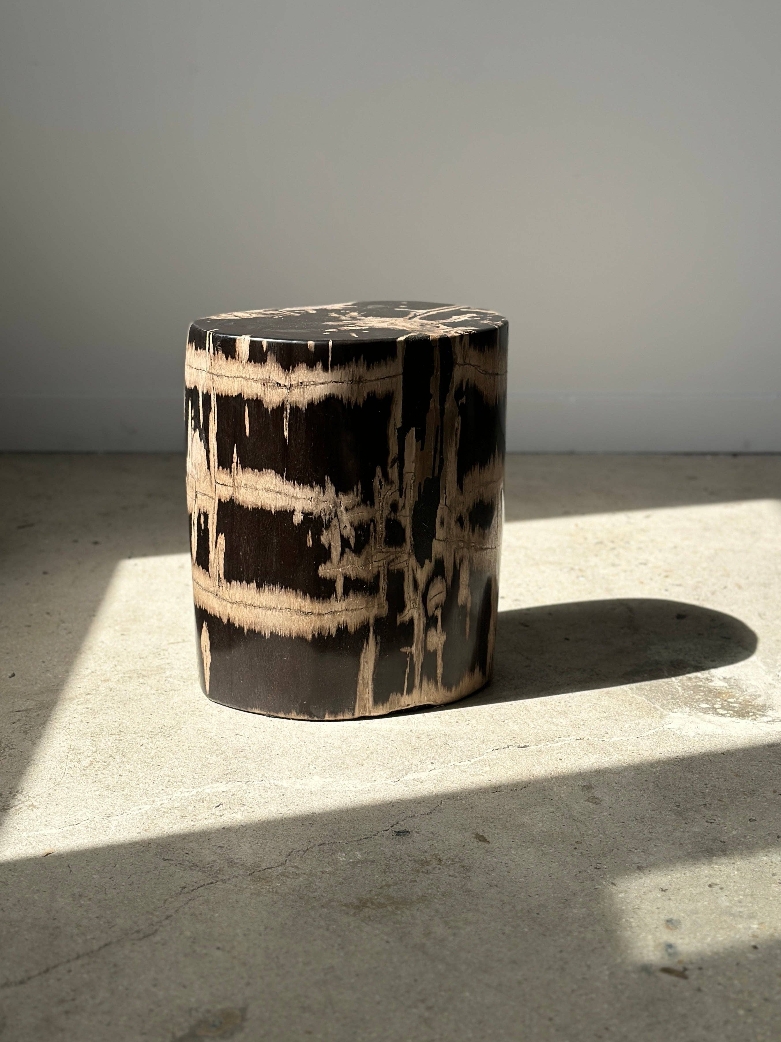 Office Objets - Vente Tables d'appoint - Table d'appoint en bois pétrifié23