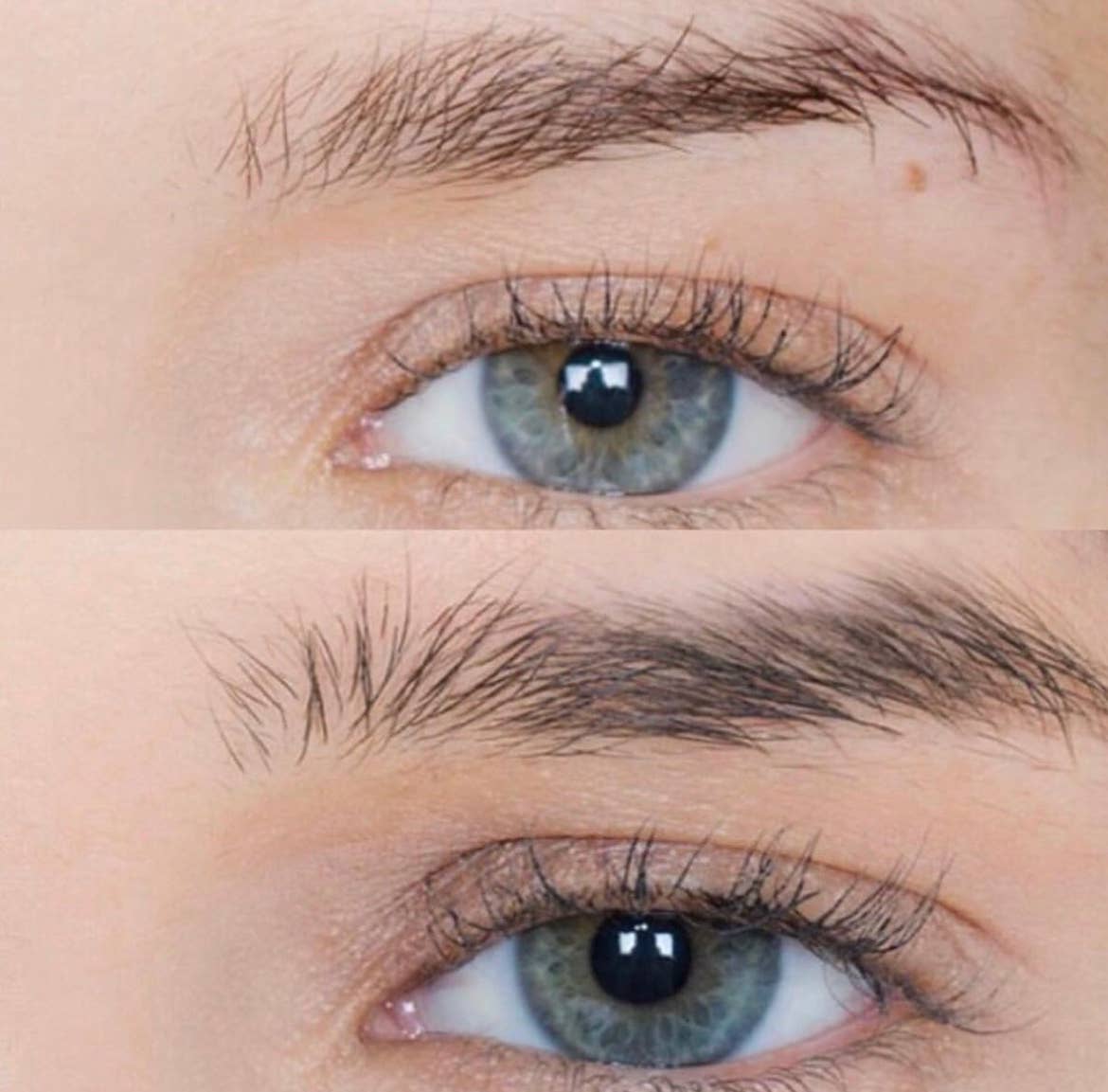 Lashfood – wholesale Eyelash/brow serum – Eyebrow Enhancing Serum, 3 Month Supply4