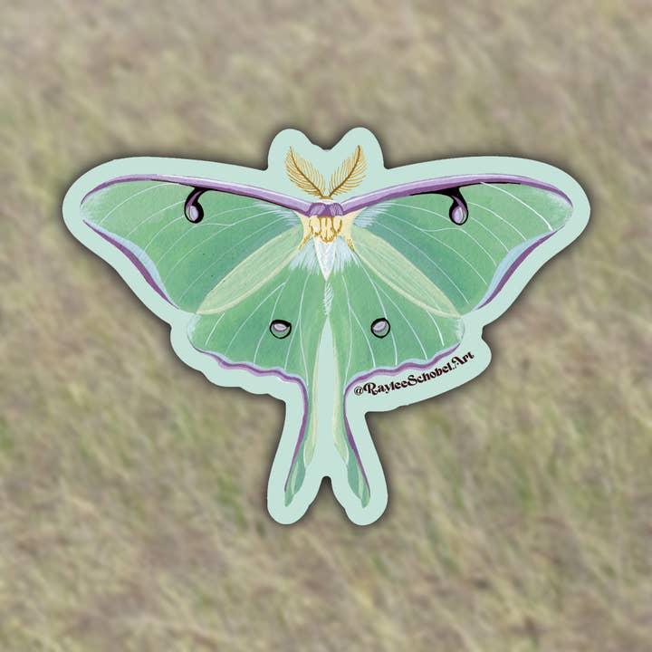 Luna Moth Vinyl Sticker for wholesale by Raylee Schobel