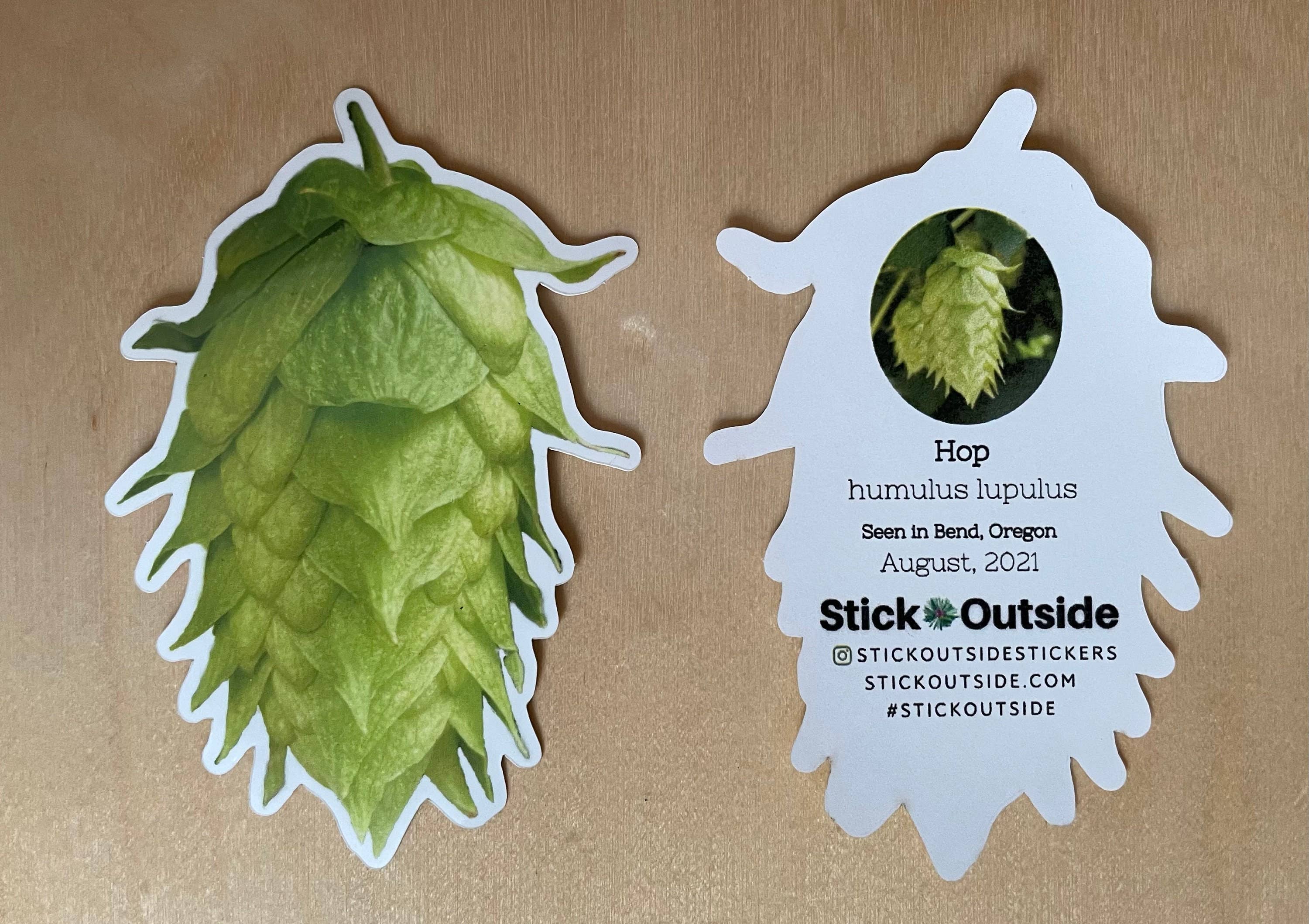 Stick Outside - Wholesale Sticker - Oregon Hop Sticker3