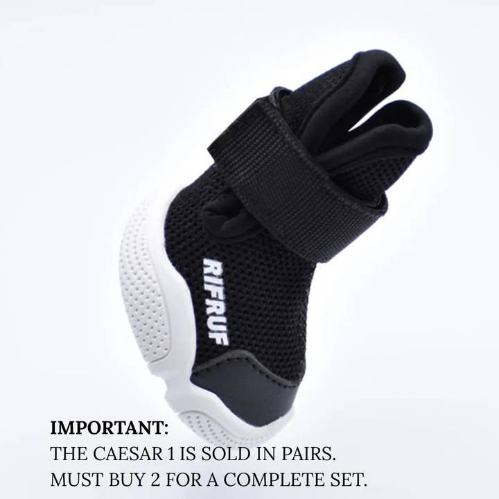 RIFRUF - Vente Bottines – chien - César 1