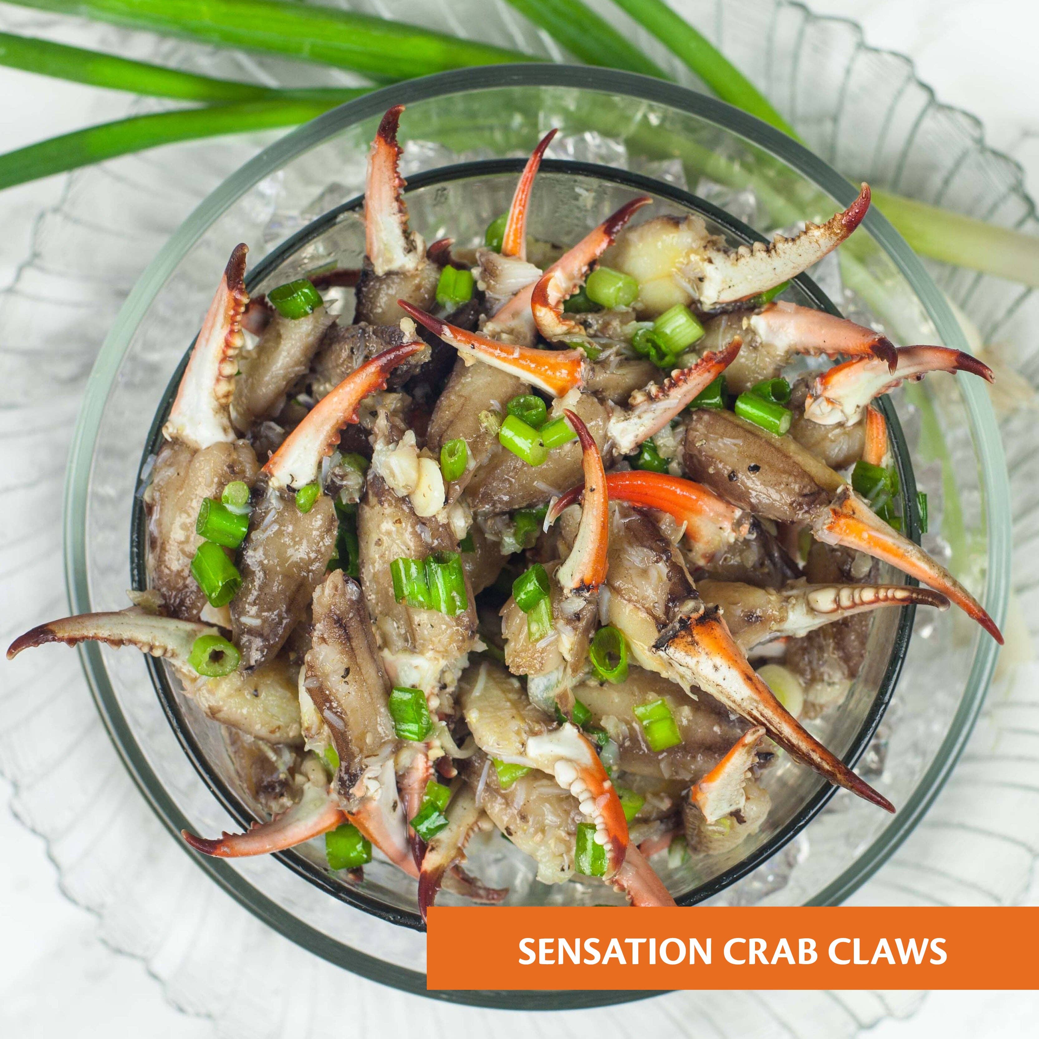 Hanley's - Wholesale Salad Dressing - Sensation® dressing8