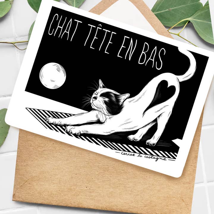 Postkarte - Chat kopfüber für den Großhandel von Cerise la Castagne