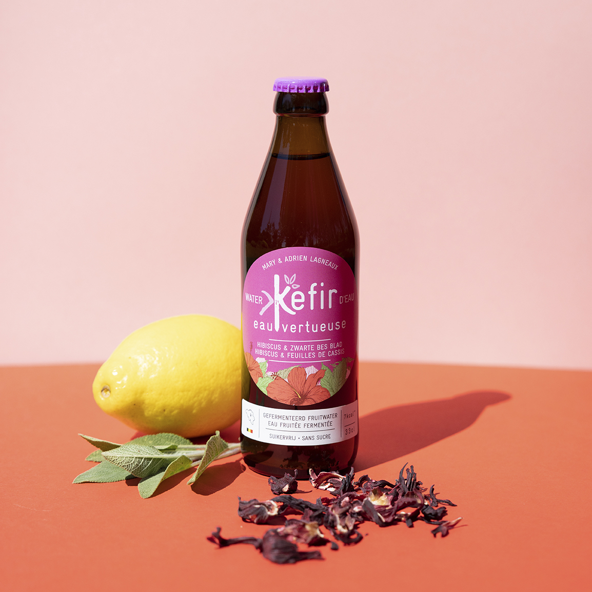 Kéfir Eau Vertueuse - Wholesale Non-Alcoholic Aperitif/Mocktail - Kefir Virtuous Water Hibiscus/Blackcurrant Leaves - BIO-VIVANT1