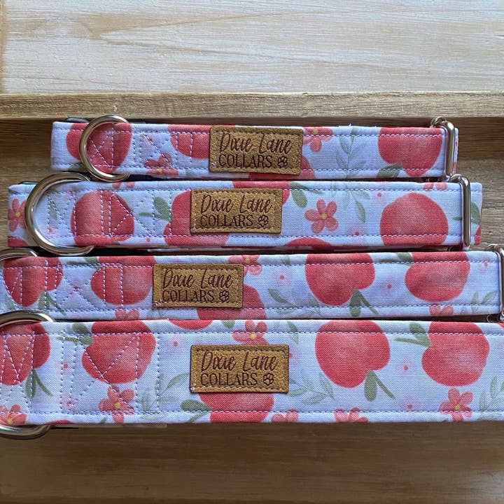Apple Floral Dog Collar, Apples, Fall Fruit Dog Collar for wholesale by Dixie Lane Collars
