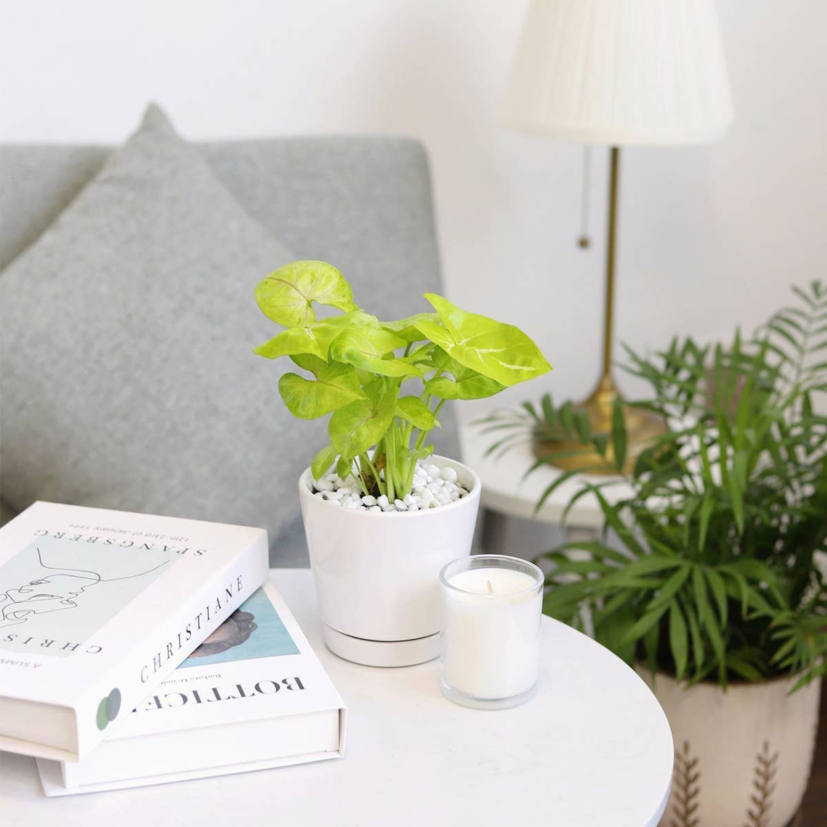 Best Plant Friend - Wholesale Plant Pot - 4 inch White Minimalist Pot with Saucer - Pot for Houseplant9