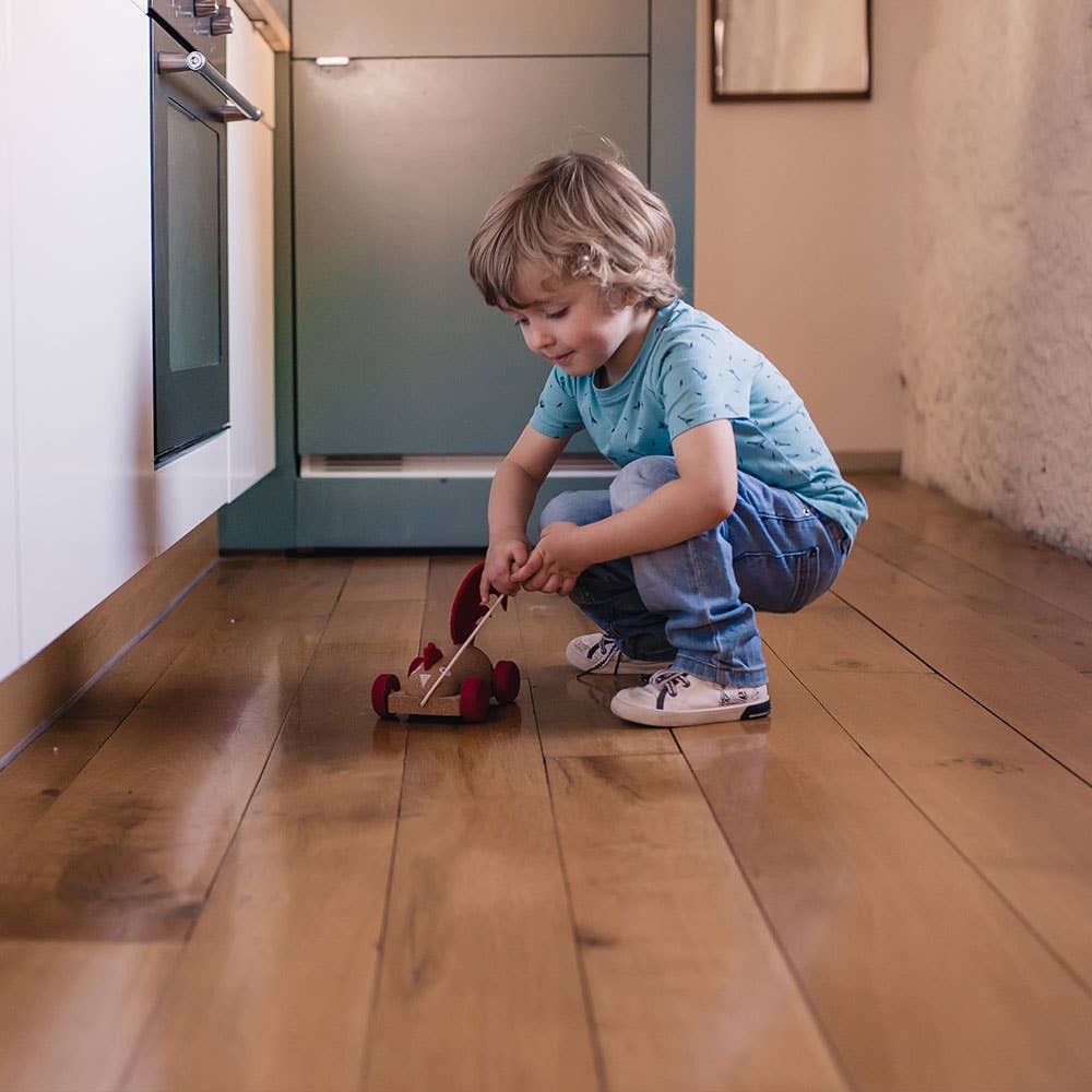 ELOU by Valoris - Vente Jouet en bois – enfant - Jouet à tirer Coq en bois et liège1