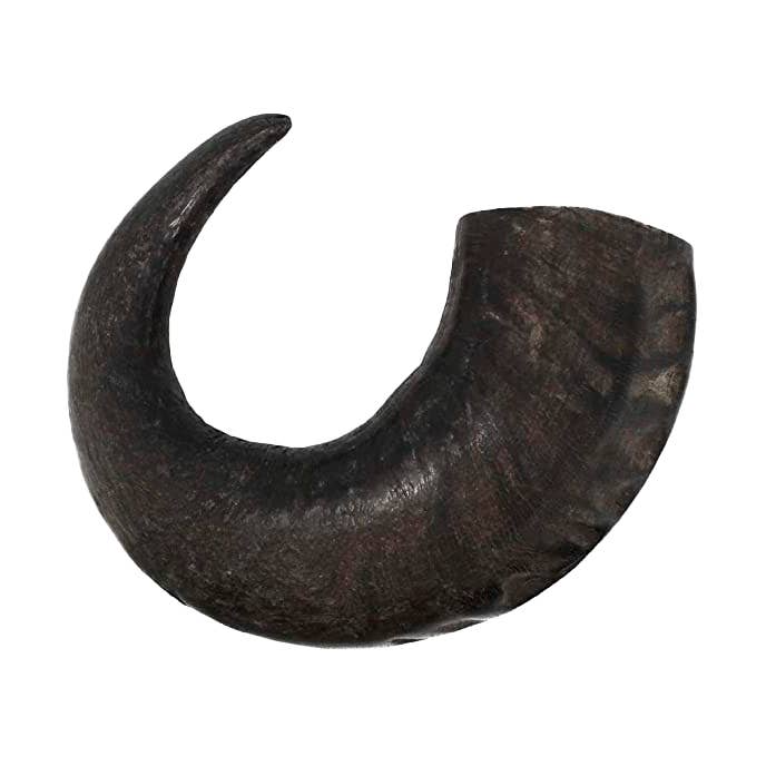 Premium Water Buffalo Horns - Large for wholesale by peaksNpaws