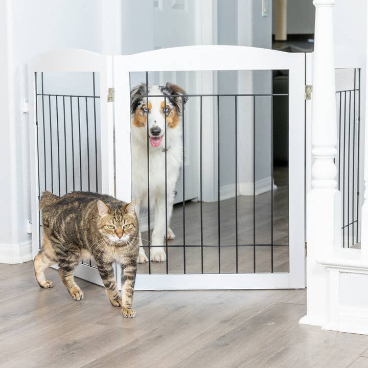 Primetime Petz - Vente Barrière portative pliable – chien - Kit de quincaillerie pour barrières murales autoportantes en bois pour animaux de compagnie7