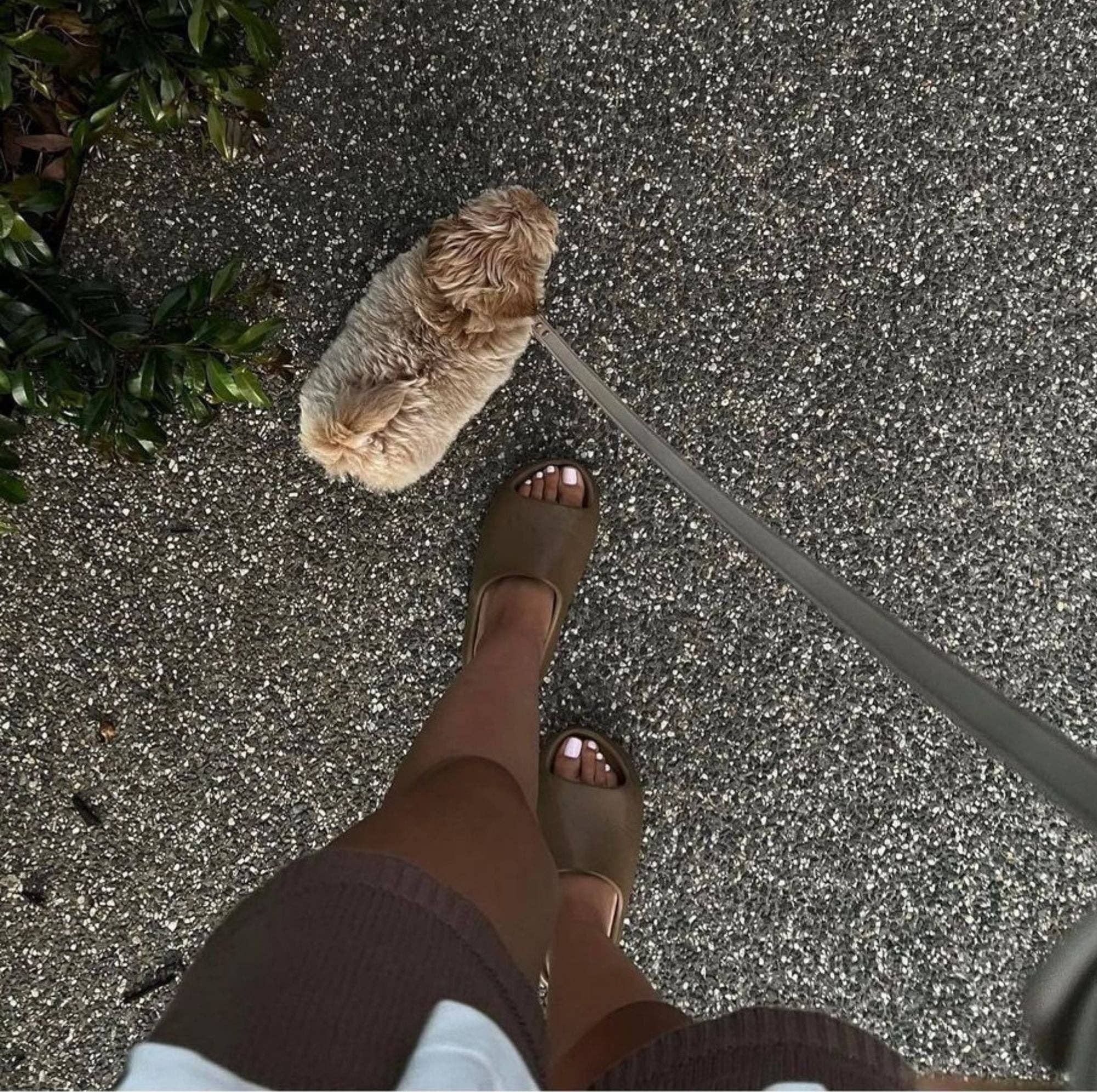 ST ARGO - Wholesale Pet Leash - Dog - LEAD - Cream4