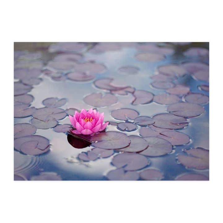 Postal "Nenúfar" por atacado de paruspaper. nutzfeine papeterie