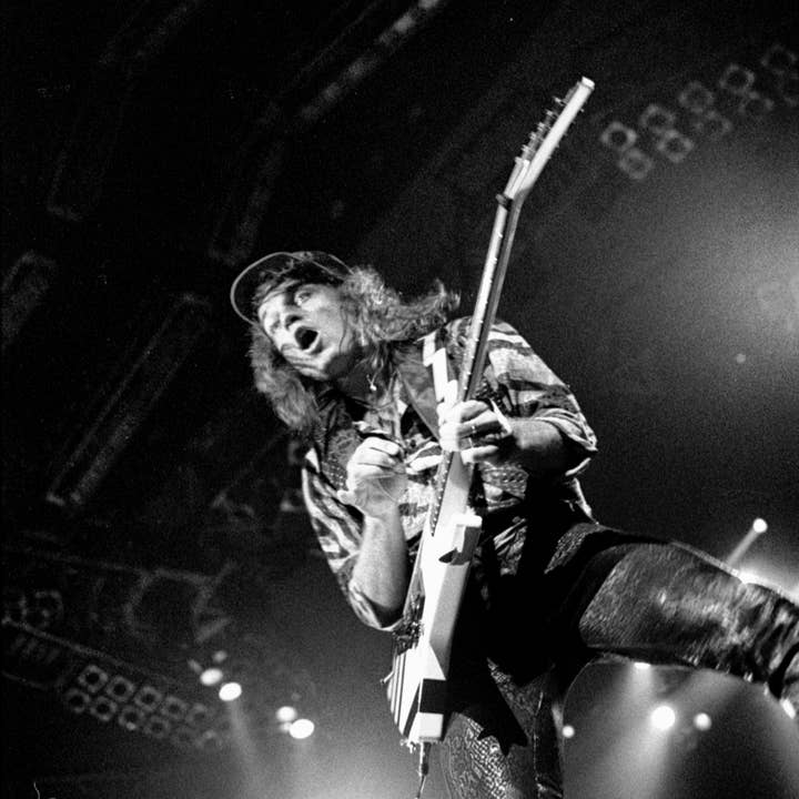 Scorpions Fine Art Metallic Print SCOR9 for engroshandel hos Breaking Rules Photography