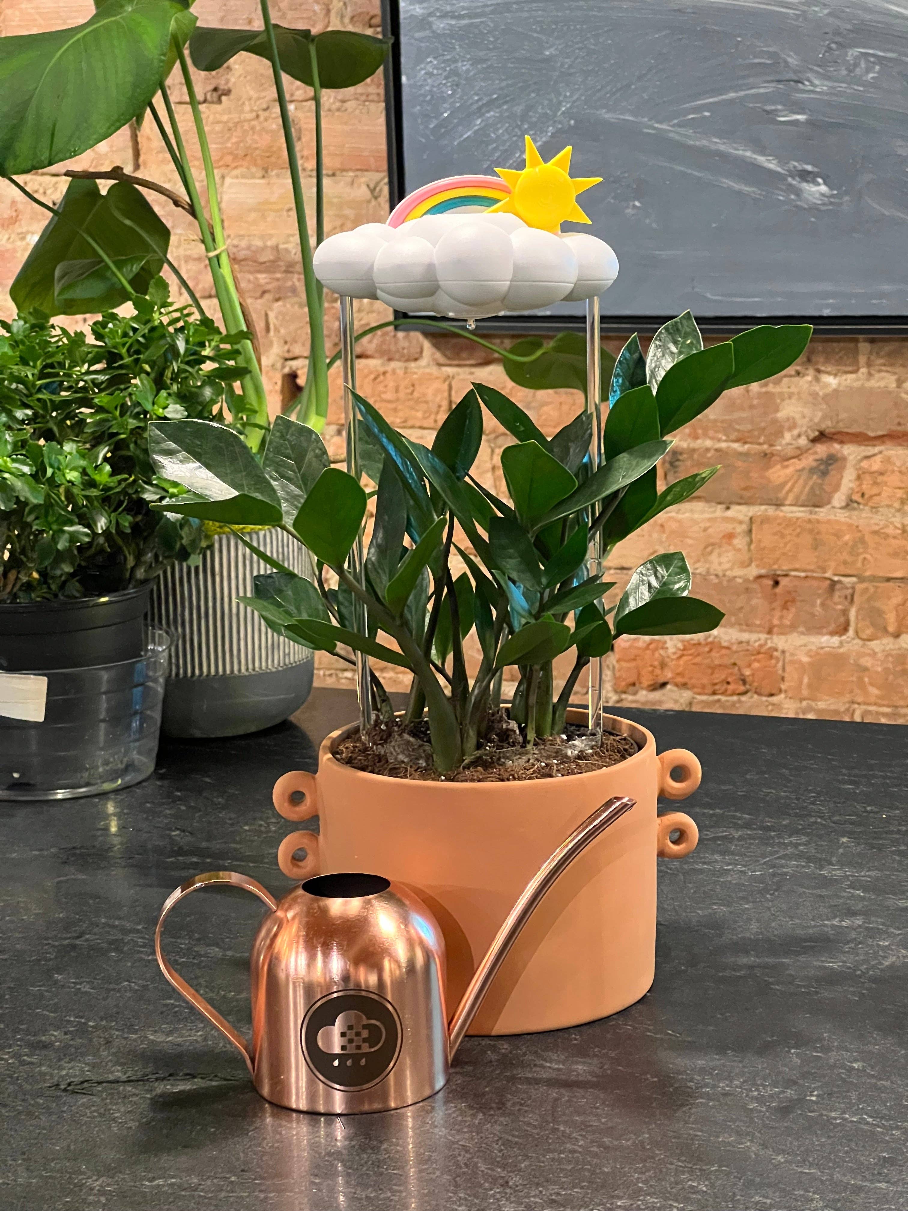 The Cloud Makers - Wholesale Watering Can - Cloud Makers Copper Watering Can5