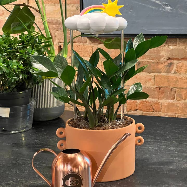 The Cloud Makers - Wholesale Watering Can - Cloud Makers Copper Watering Can5