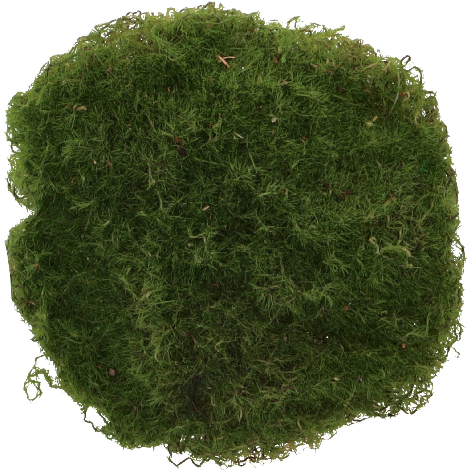 Vosteen - Wholesale Artificial Plant - Moss stones, 6 pieces/bag, D15cm, H4cm, Green0