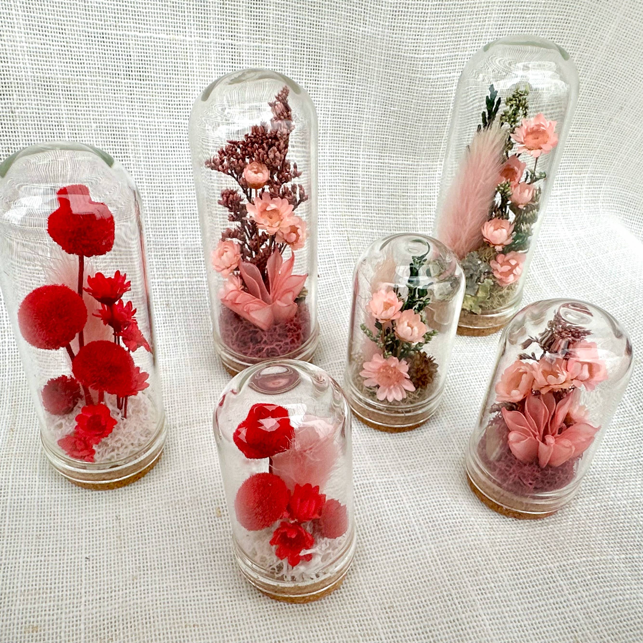 CA Studios - Wholesale Terrarium - Valentine Mix Mini Terrarium Floral Cloche Apothecary Jar1