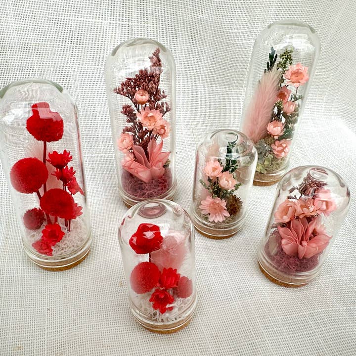 CA Studios - Wholesale Terrarium - Valentine Mix Mini Terrarium Floral Cloche Apothecary Jar1
