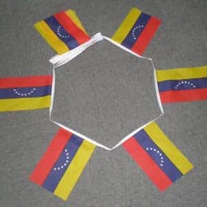 6m 20 Flag Venezuela 8 Stars Bunting for wholesale by Worldwide Flags Ltd