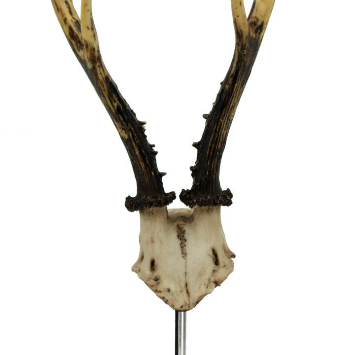 Modern World by Contrast Inc. - Wholesale Decorative Tabletop Object - Antler on Double Glass Base1