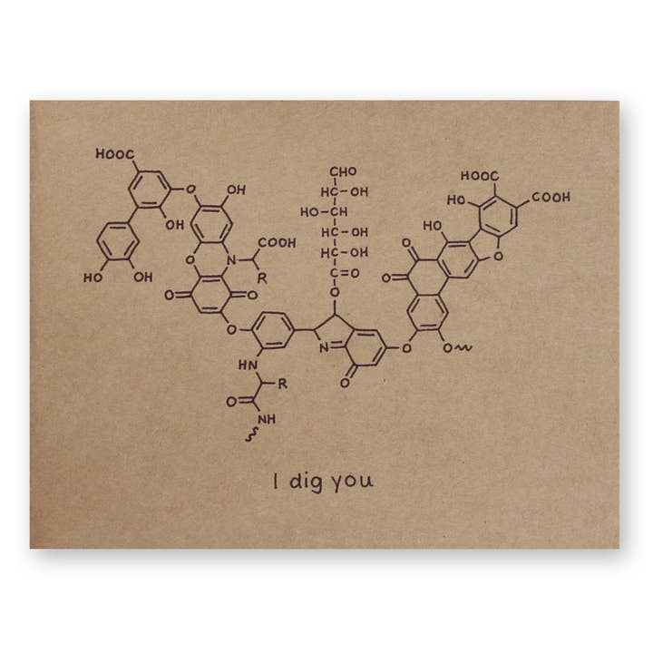 I Dig You Valentine Card for wholesale by The Chemist Tree