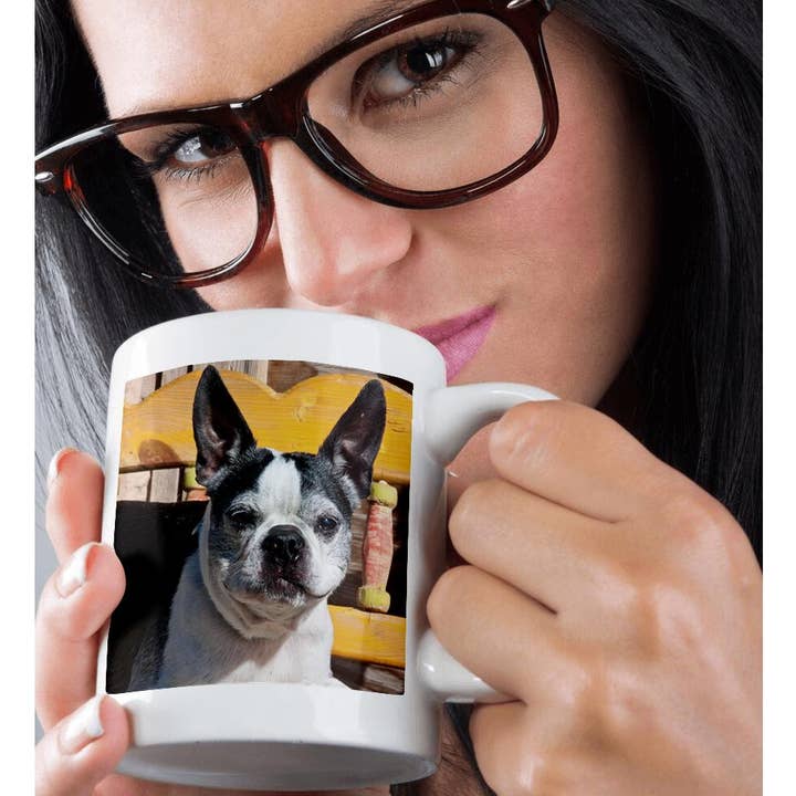 3dRose - Wholesale Coffee Mug - 3dRose, A Boston Terrier dog on a painted bench - US32 ZMU0007 - Zandria Muench Beraldo, Mug9