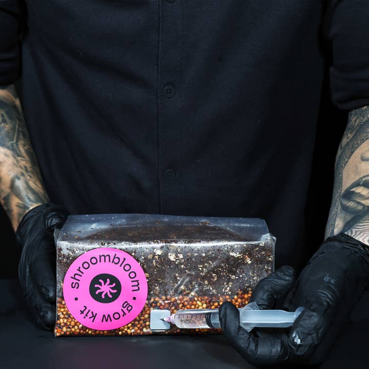 Nublume Mushroom - Wholesale Planter Box - All-In-One Mushroom Grow Kit – Perfect for First-Time Grower7