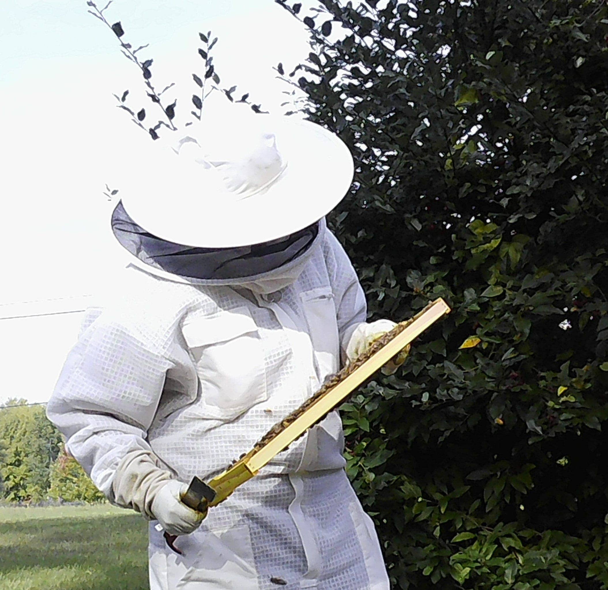 Happy Honey Bee Co. – Engroshandel Læbepomade – Honning & Bivoks Læbepomade3