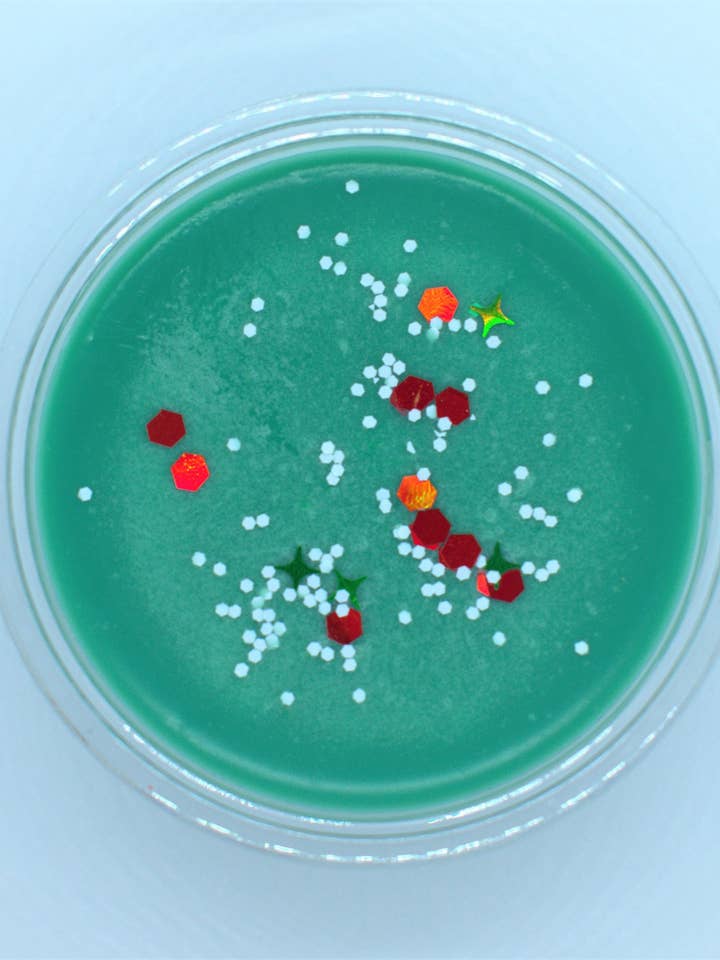 Melting Pot d'arbre de Noël pour la vente par Loud Candle Company