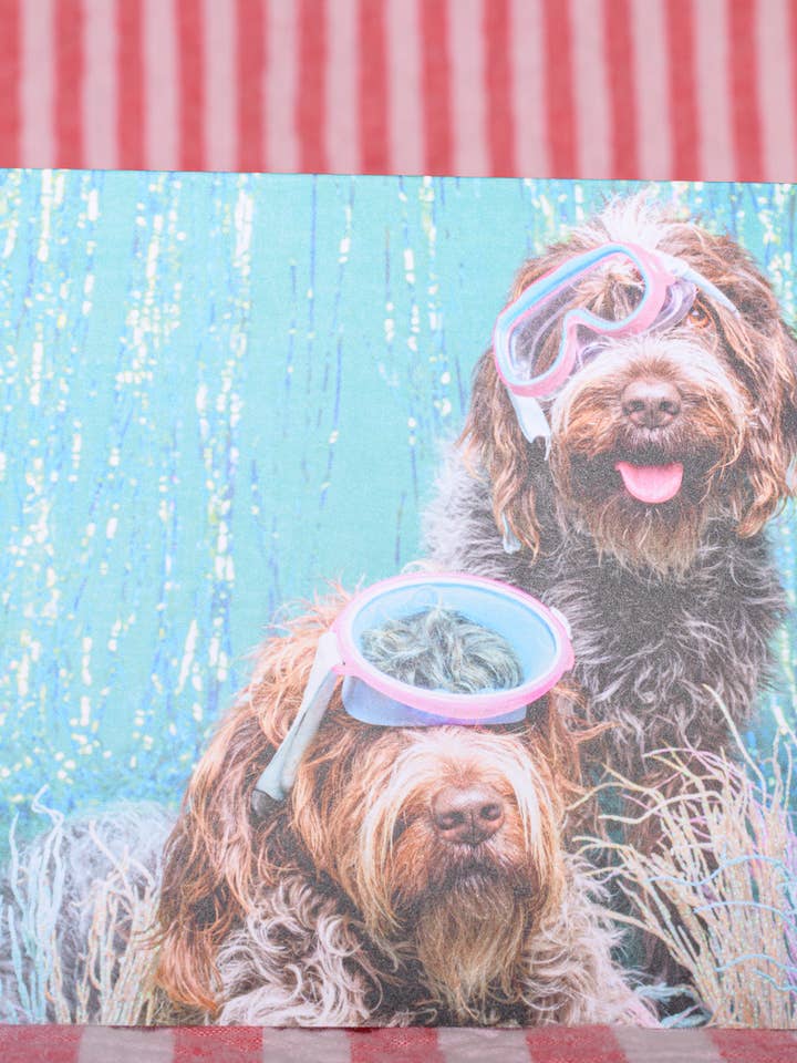 Cartolina di saluti quotidiana divertente fotografia di cani pelosi con boccaglio per la vendita all'ingrosso da parte di The Velvet Big Top