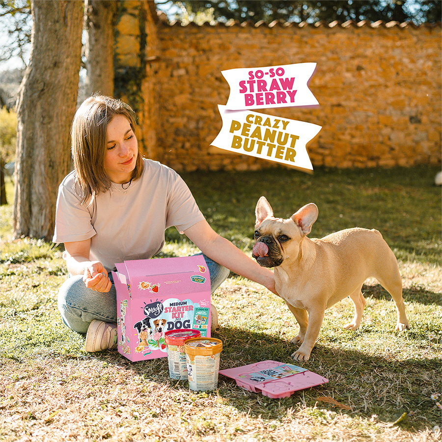 Smoofl - Wholesale Pet Supplement - Dog - Medium starter kit for dog ice4