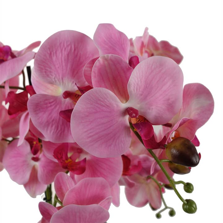 Leaf Design UK LTD - Wholesale Artificial Flowers - Artificial Orchid Glass Planter Pink