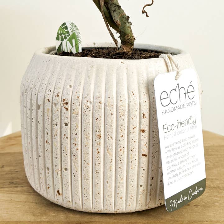 Eché pots - Wholesale Plant pot - Hemp & Coconut fibre Rib Pot - Handcrafted in Australia13