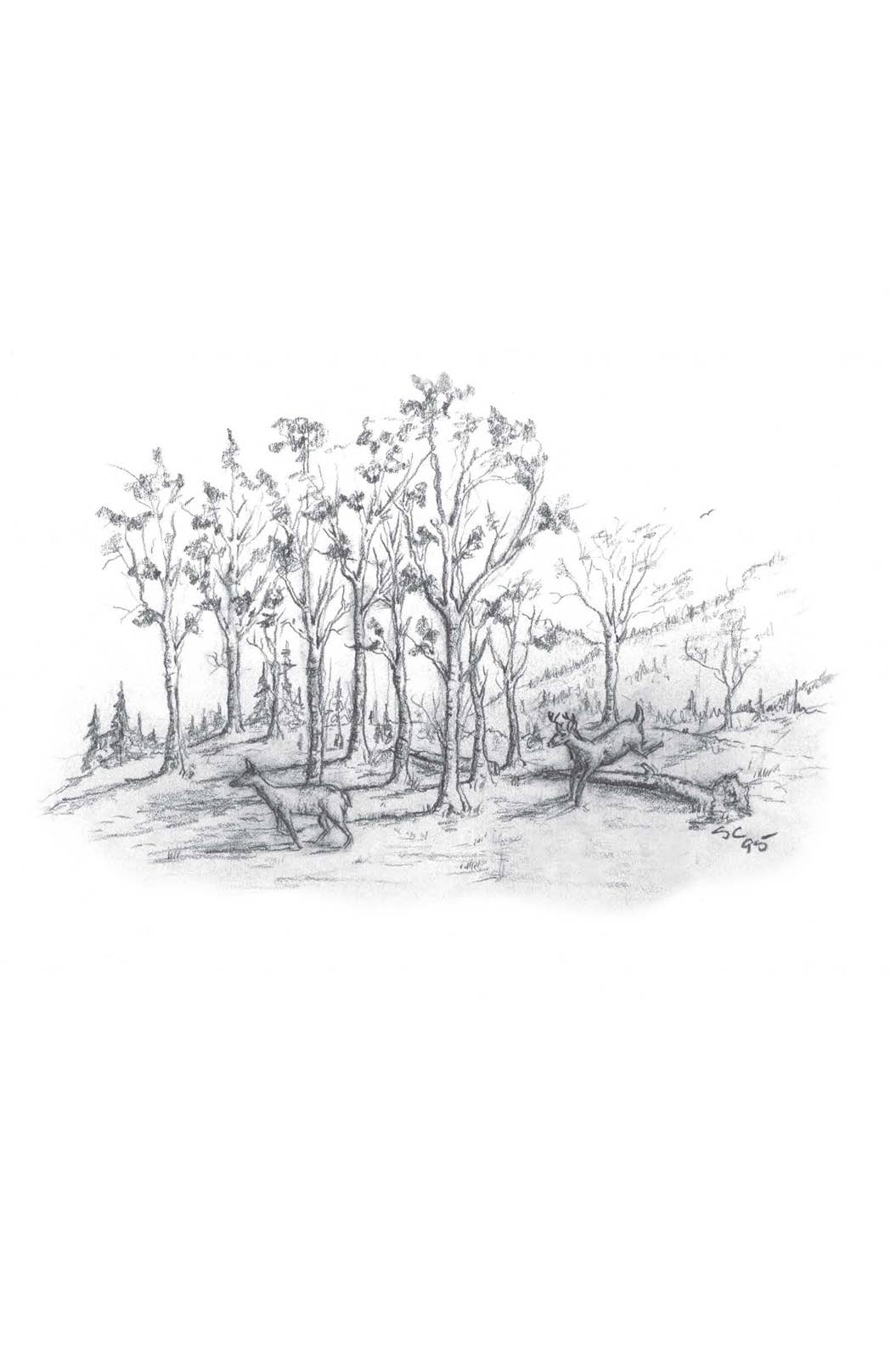 Harvest House Publishers Gift & Specialty Books - Wholesale Nature & Outdoors - A Look at Life from a Deer Stand (Milano Softone)7