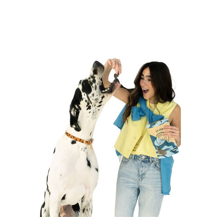 Winnie Lou - Vente Friandises – chien - Wapiti Jerky2