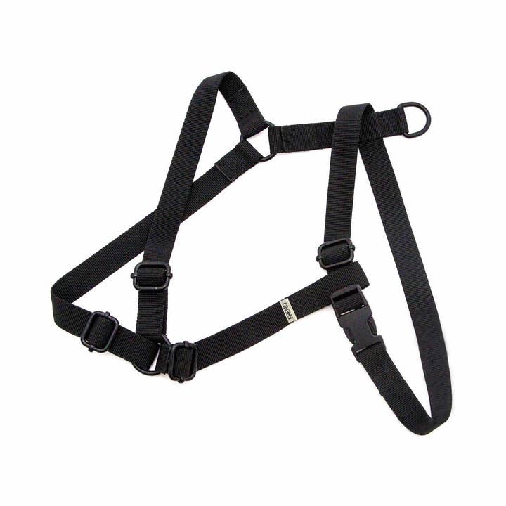 HARNESS for wholesale by FREND